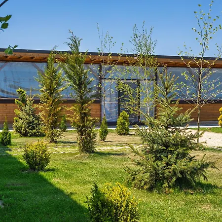 Flamingo 3* Корбу